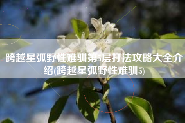 跨越星弧野性难驯第5层打法攻略大全介绍(跨越星弧野性难驯5)