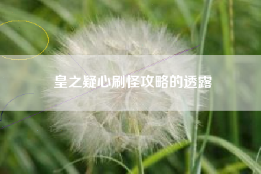 皇之疑心刷怪攻略的透露