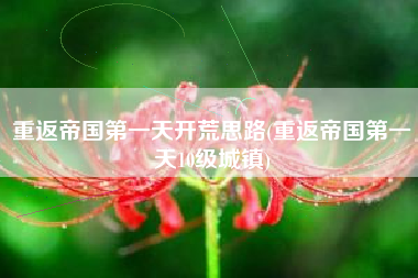 重返帝国第一天开荒思路(重返帝国第一天10级城镇)