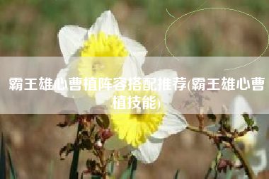 霸王雄心曹植阵容搭配推荐(霸王雄心曹植技能)