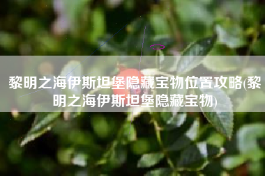黎明之海伊斯坦堡隐藏宝物位置攻略(黎明之海伊斯坦堡隐藏宝物)