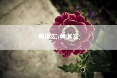 黄谋宏(黄谋宏)