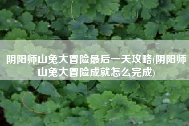阴阳师山兔大冒险最后一天攻略(阴阳师山兔大冒险成就怎么完成)