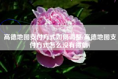 高德地图支付方式如何调整(高德地图支付方式怎么没有微信)