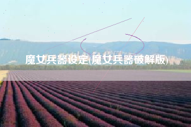 魔女兵器设定(魔女兵器破解版)