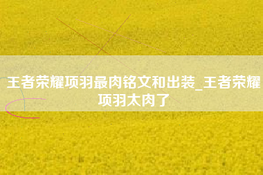 王者荣耀项羽最肉铭文和出装_王者荣耀项羽太肉了