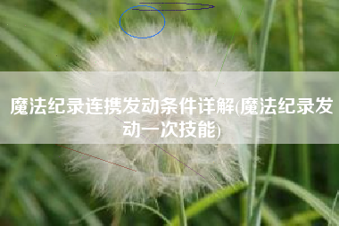 魔法纪录连携发动条件详解(魔法纪录发动一次技能)