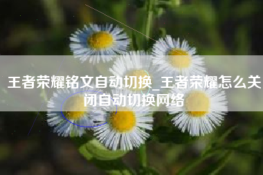 王者荣耀铭文自动切换_王者荣耀怎么关闭自动切换网络