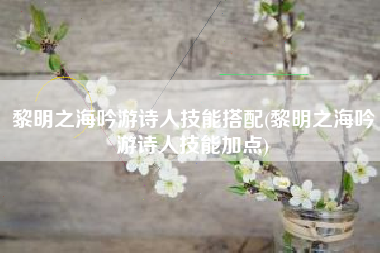 黎明之海吟游诗人技能搭配(黎明之海吟游诗人技能加点)