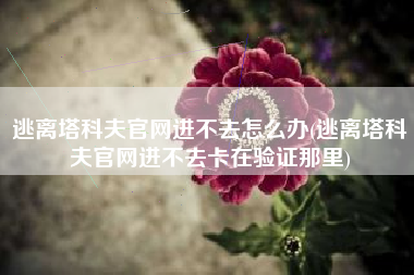 逃离塔科夫官网进不去怎么办(逃离塔科夫官网进不去卡在验证那里)
