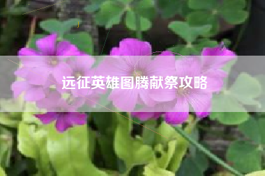 远征英雄图腾献祭攻略