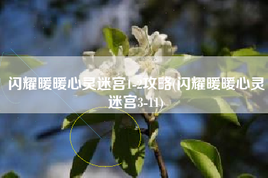 闪耀暖暖心灵迷宫1-2攻略(闪耀暖暖心灵迷宫3-11)