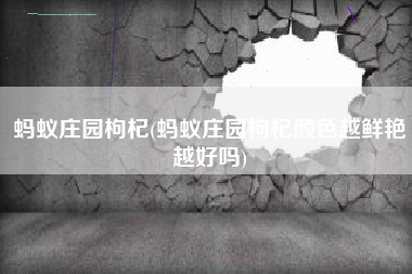 蚂蚁庄园枸杞(蚂蚁庄园枸杞颜色越鲜艳越好吗)