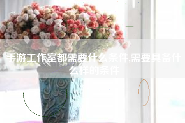 手游工作室都需要什么条件,需要具备什么样的条件