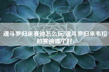 魂斗罗归来赛迪怎么玩(魂斗罗归来韦拉和赛迪哪个好)