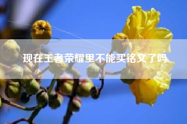 现在王者荣耀里不能买铭文了吗