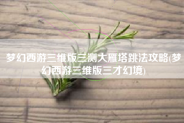 梦幻西游三维版三测大雁塔跳法攻略(梦幻西游三维版三才幻境)