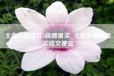 王者荣耀铭文5级哪里买_王者荣耀哪里买铭文便宜
