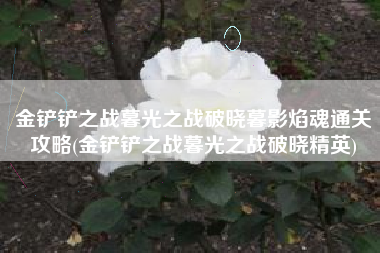 金铲铲之战暮光之战破晓暮影焰魂通关攻略(金铲铲之战暮光之战破晓精英)