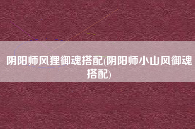 阴阳师风狸御魂搭配(阴阳师小山风御魂搭配)