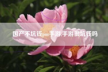 国产不坑钱pm手游,手游很坑钱吗