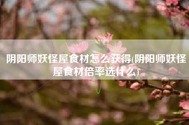 阴阳师妖怪屋食材怎么获得(阴阳师妖怪屋食材倍率选什么)