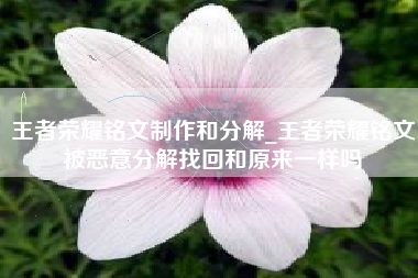 王者荣耀铭文制作和分解_王者荣耀铭文被恶意分解找回和原来一样吗