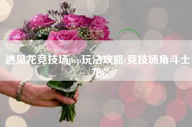 遇见龙竞技场pvp玩法攻略(竞技场角斗士龙)