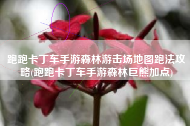 跑跑卡丁车手游森林游击场地图跑法攻略(跑跑卡丁车手游森林巨熊加点)