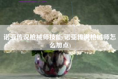 诺亚传说枪械师技能(诺亚传说枪械师怎么加点)