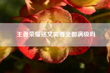 王者荣耀铭文需要全都满级吗