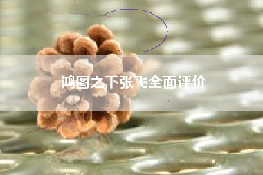 鸿图之下张飞全面评价