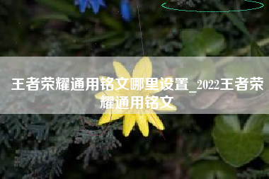 王者荣耀通用铭文哪里设置_2022王者荣耀通用铭文