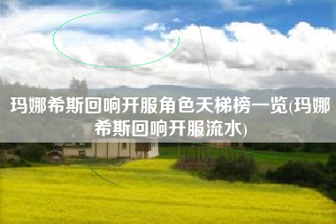 玛娜希斯回响开服角色天梯榜一览(玛娜希斯回响开服流水)