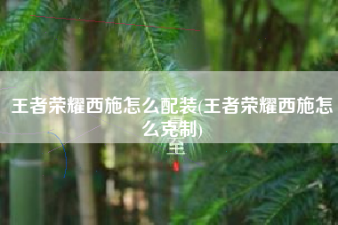 王者荣耀西施怎么配装(王者荣耀西施怎么克制)
