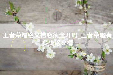 王者荣耀铭文槽必须全开吗_王者荣耀有多少铭文槽