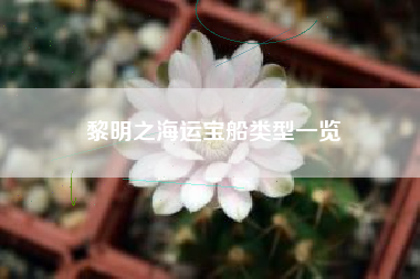 黎明之海运宝船类型一览