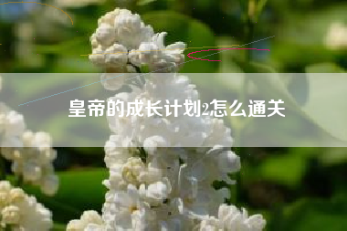 皇帝的成长计划2怎么通关