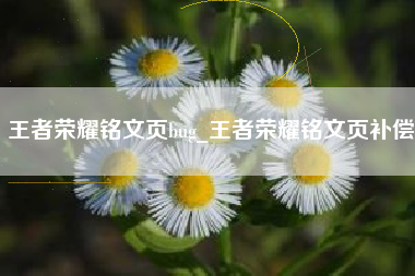 王者荣耀铭文页bug_王者荣耀铭文页补偿