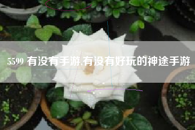 5599 有没有手游,有没有好玩的神途手游