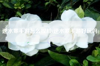 逆水寒手游怎么捏脸(逆水寒手游好玩吗)