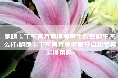 跑跑卡丁车官方竞速版黄金敞篷跑车怎么样(跑跑卡丁车官方竞速版安卓和苹果能通用吗)