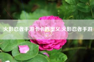 火影忍者手游卡卡西奥义,火影忍者手游