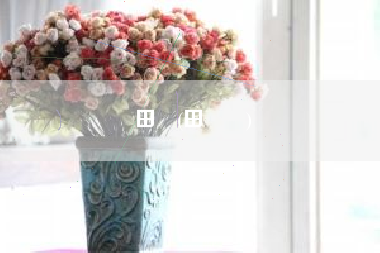 田玥(田玥玥)