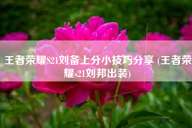 王者荣耀S21刘备上分小技巧分享 (王者荣耀s21刘邦出装)