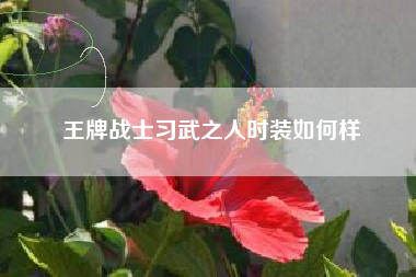 王牌战士习武之人时装如何样