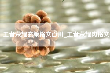 王者荣耀玄策铭文百川_王者荣耀肉铭文