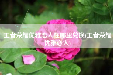 王者荣耀优雅恋人在哪里兑换(王者荣耀优雅恋人)