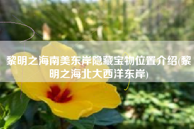 黎明之海南美东岸隐藏宝物位置介绍(黎明之海北大西洋东岸)