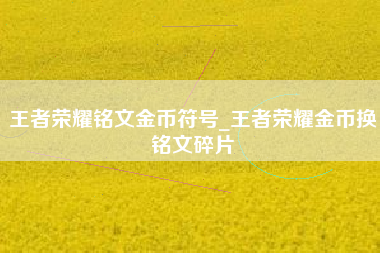 王者荣耀铭文金币符号_王者荣耀金币换铭文碎片
